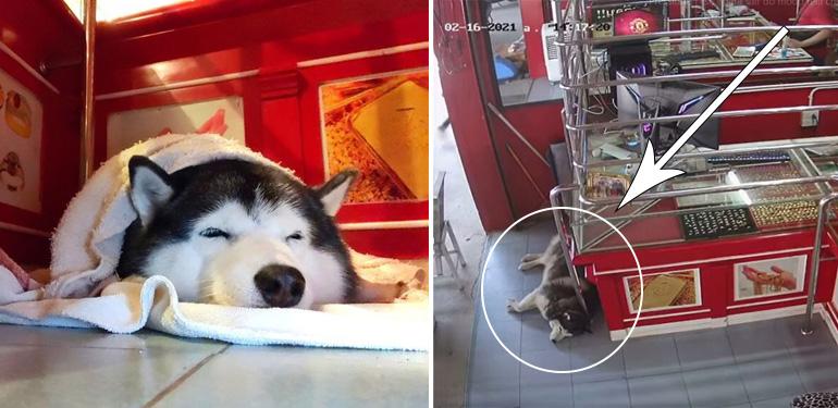 A description of the image