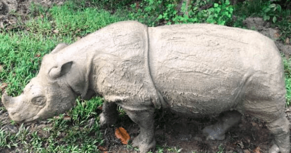 A description of the image