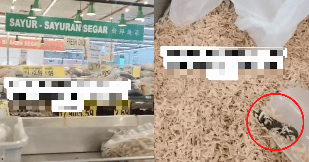 A description of the image