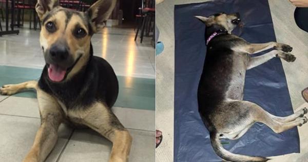 A description of the image