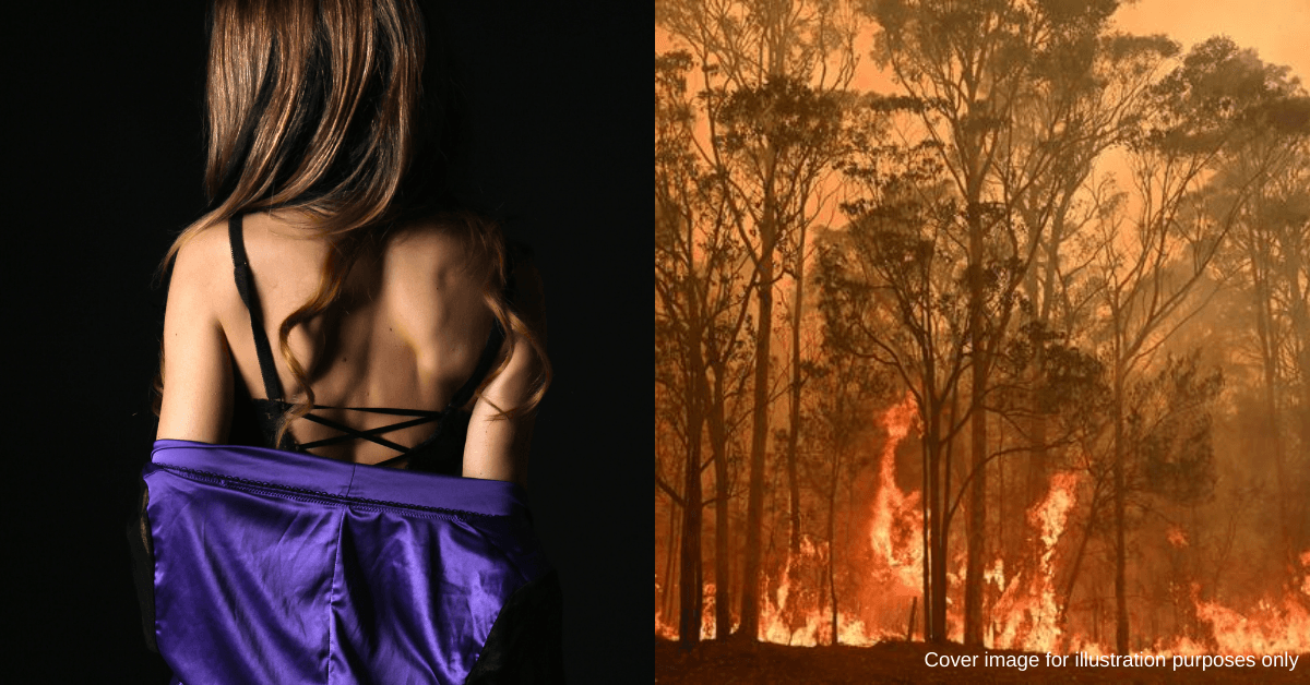 A description of the image