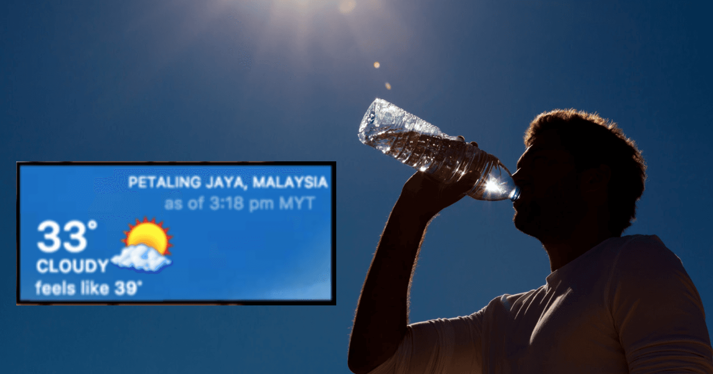 A description of the image