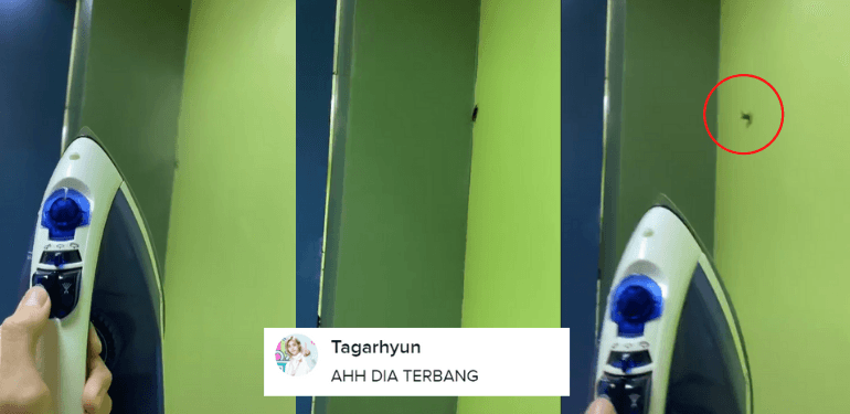 A description of the image