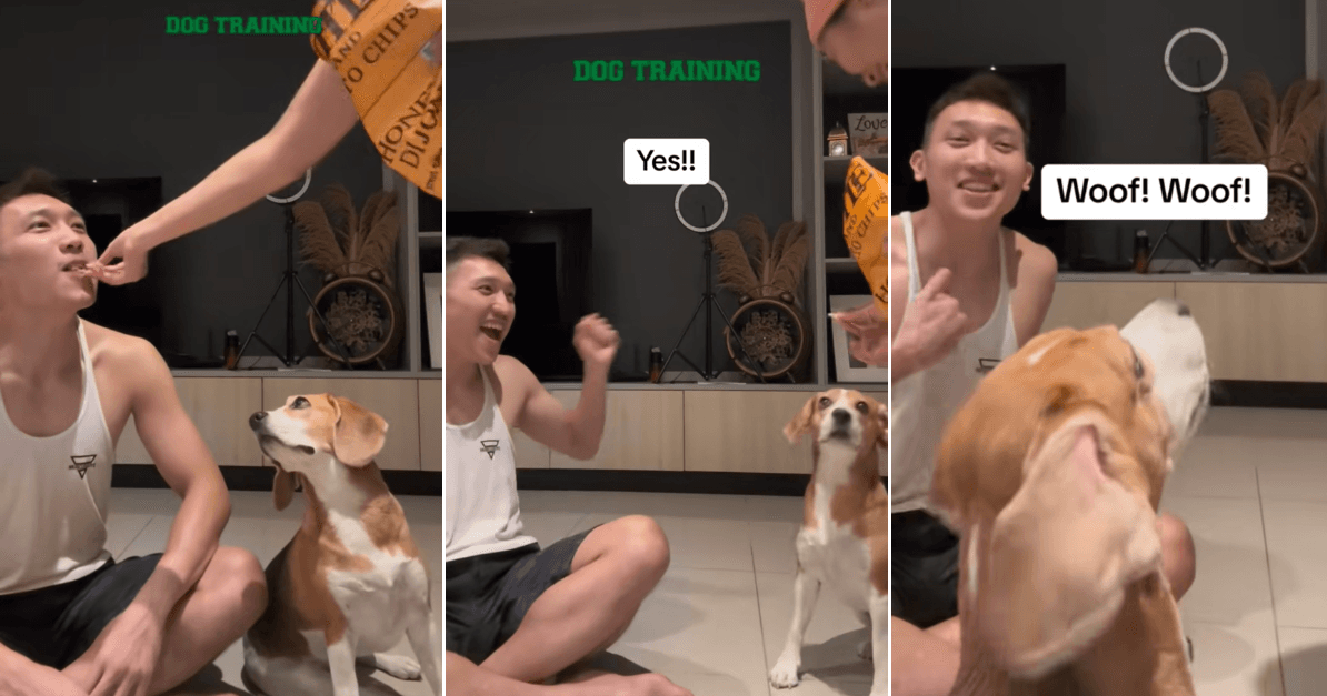 A description of the image