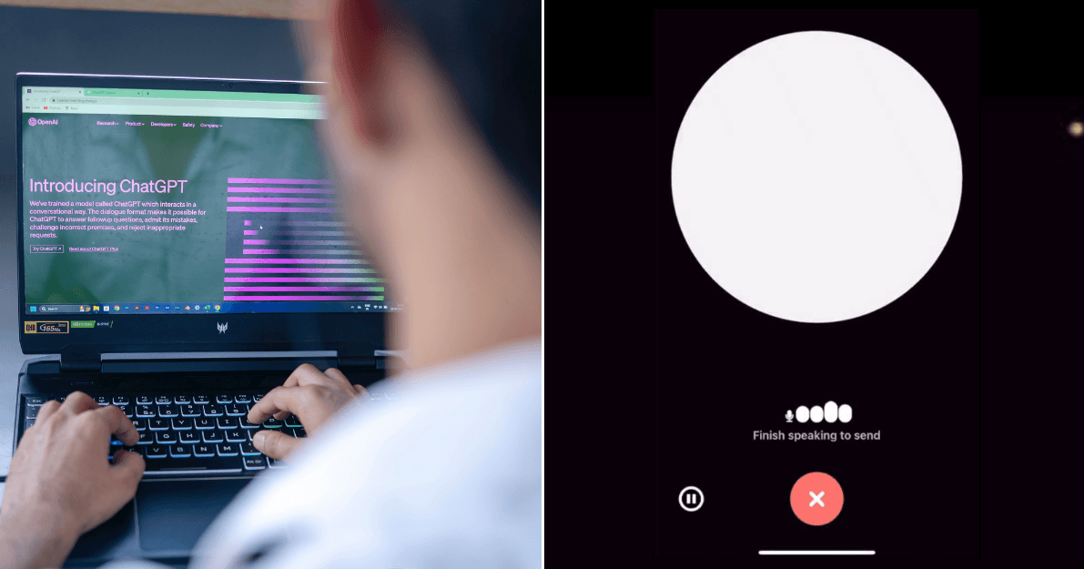 A description of the image