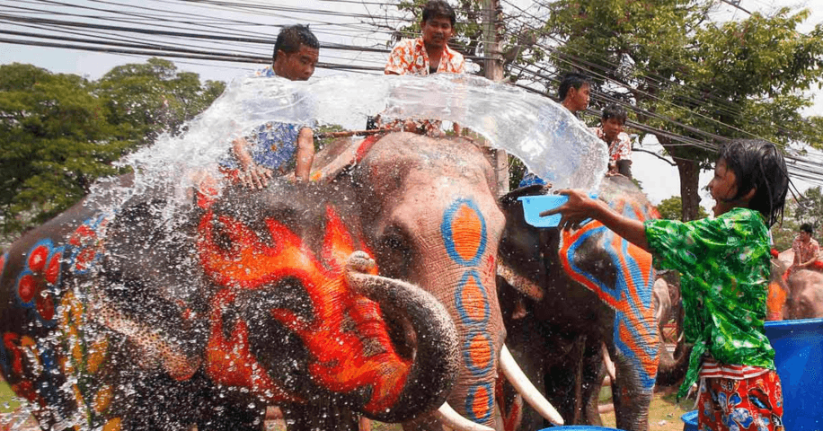 A description of the image