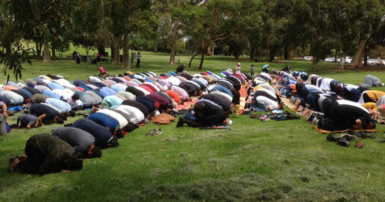 A description of the image