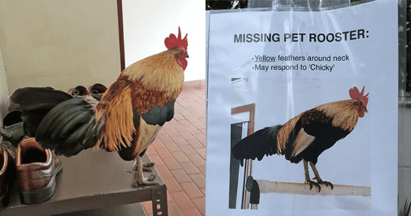 A description of the image