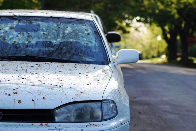 A description of the image