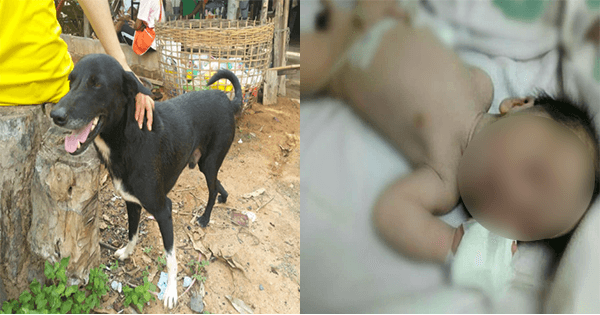 A description of the image