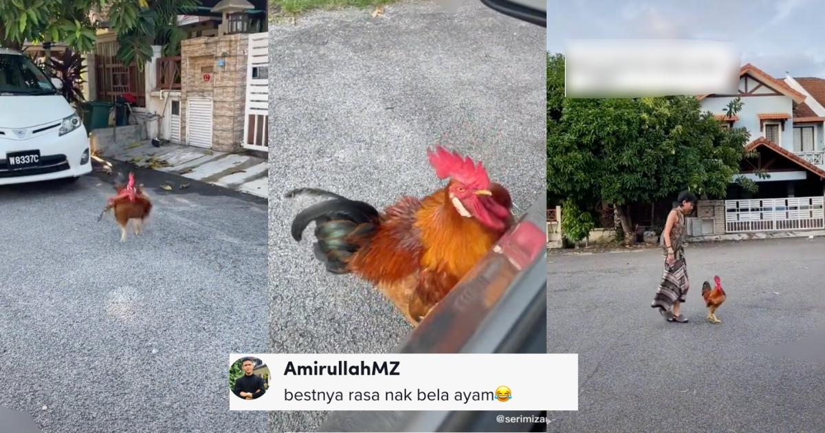 A description of the image