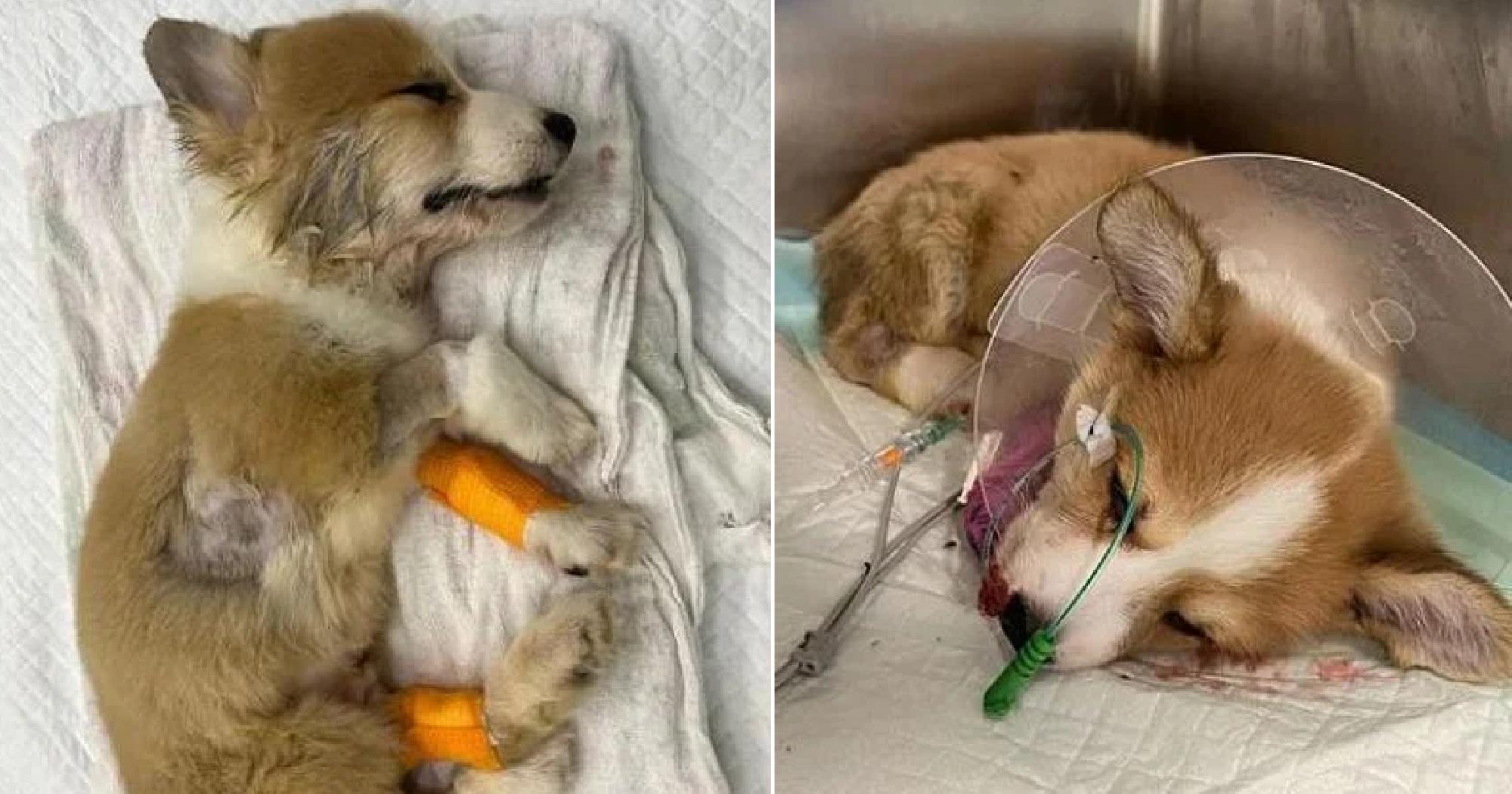 A description of the image