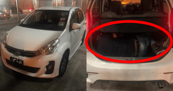 A description of the image