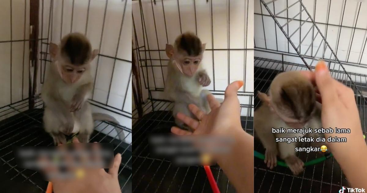 A description of the image