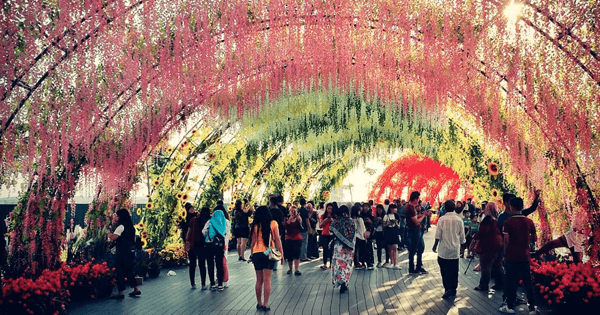 A description of the image