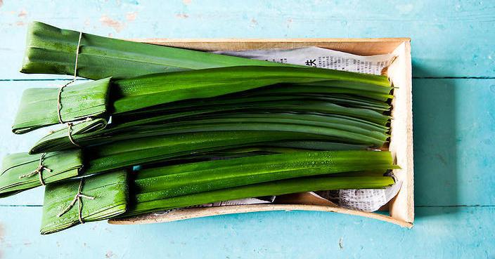 A description of the image