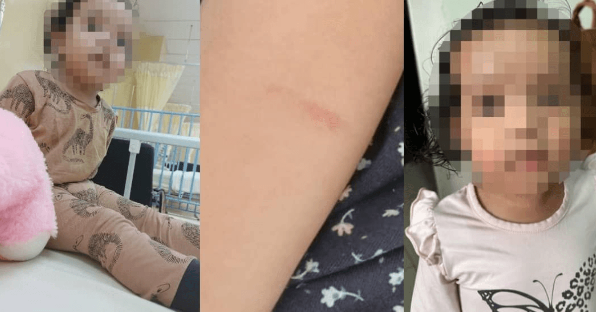 A description of the image