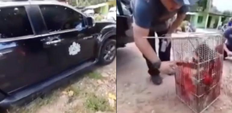 A description of the image