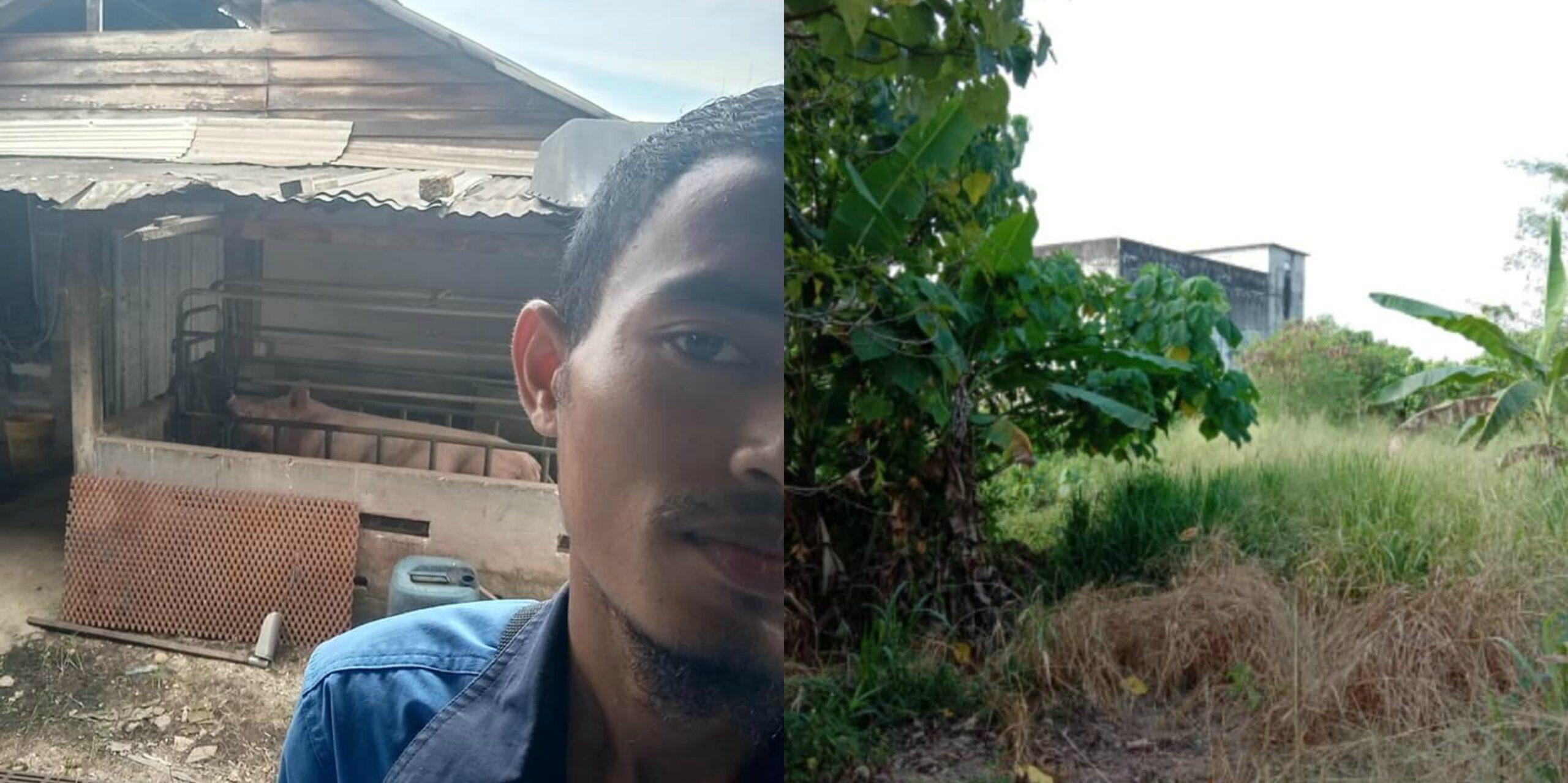 A description of the image