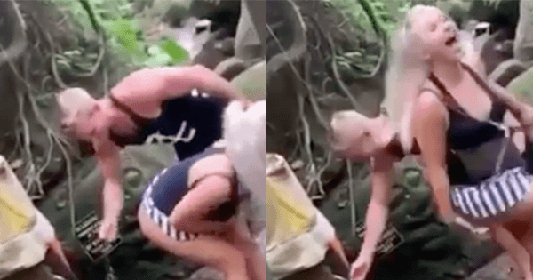 A description of the image