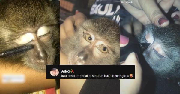 A description of the image