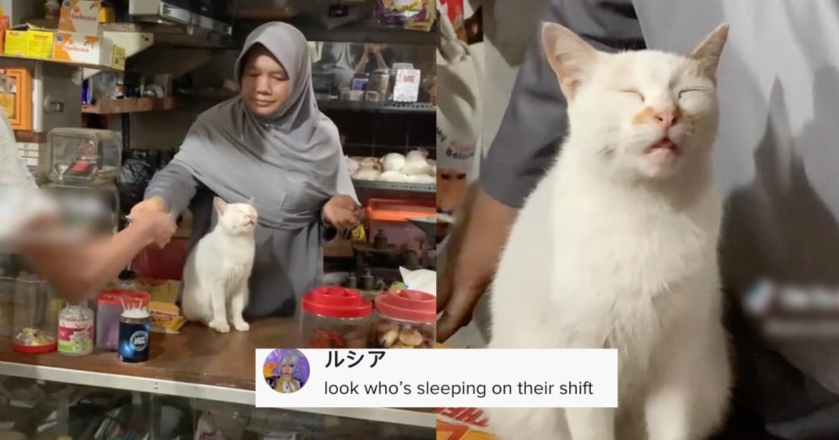 A description of the image