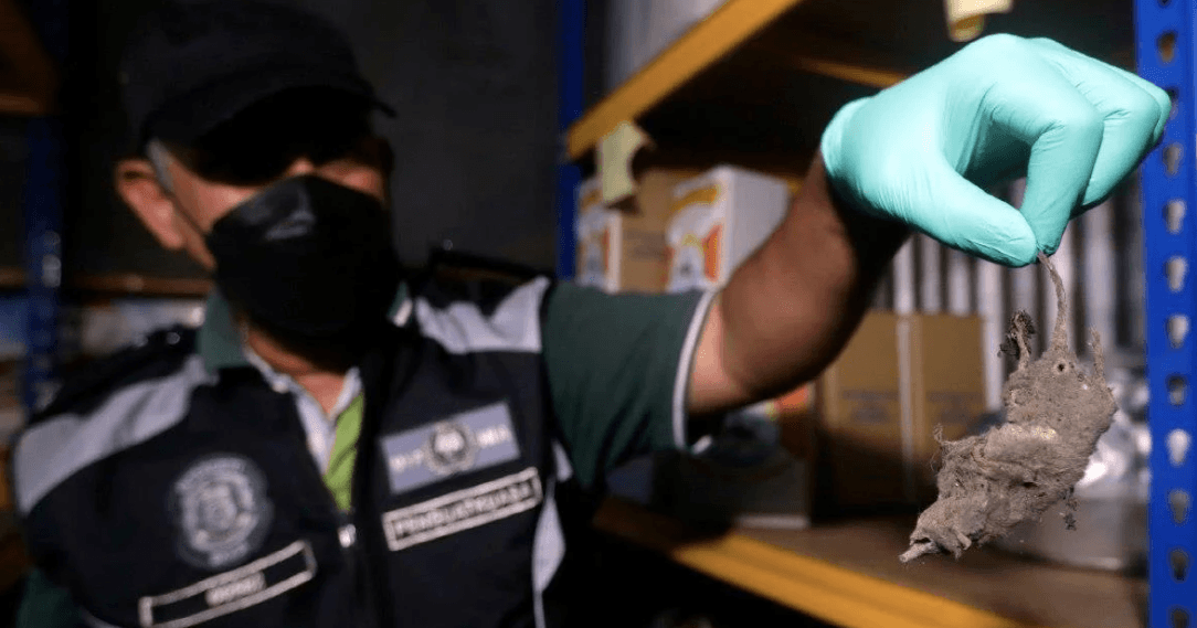 A description of the image