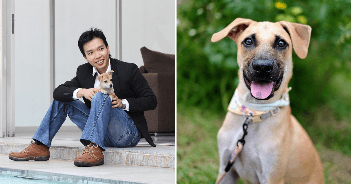 A description of the image