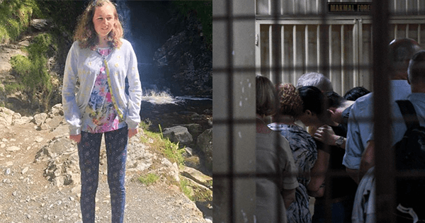 A description of the image