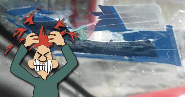 A description of the image