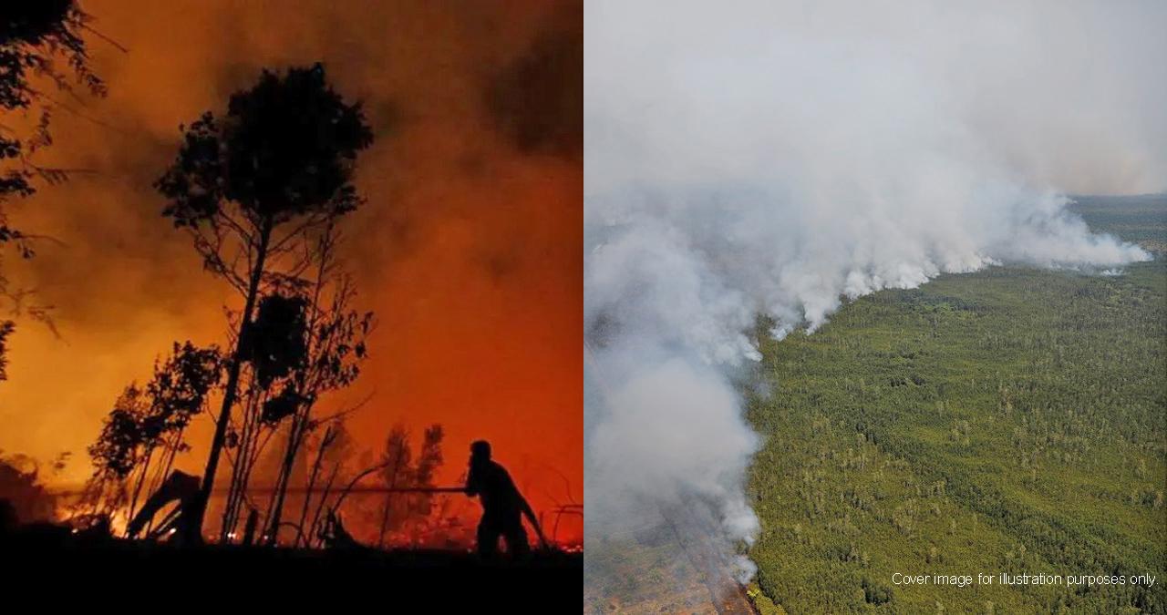 A description of the image