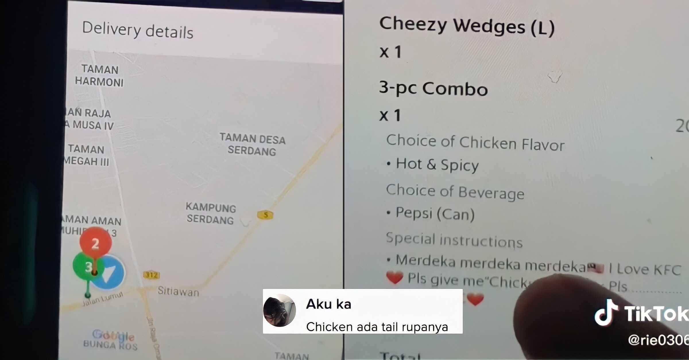 A description of the image