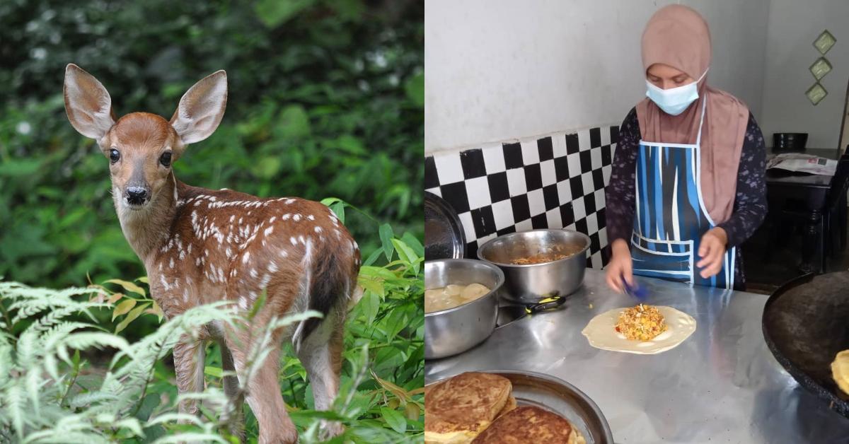 A description of the image