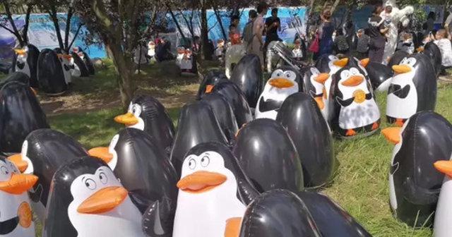 A description of the image