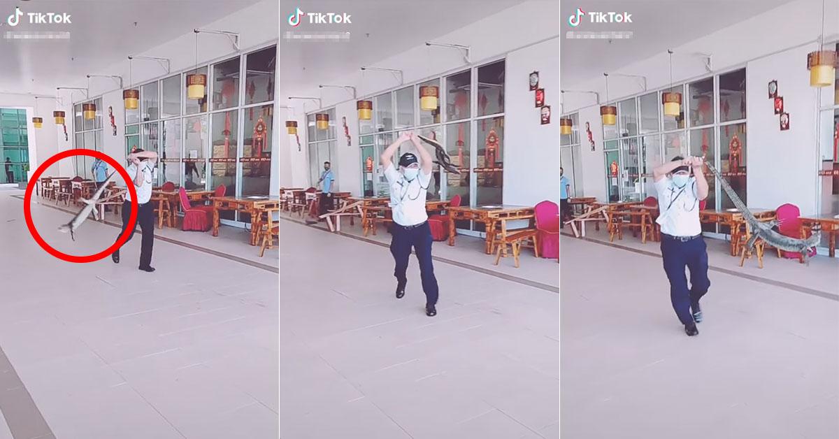 A description of the image