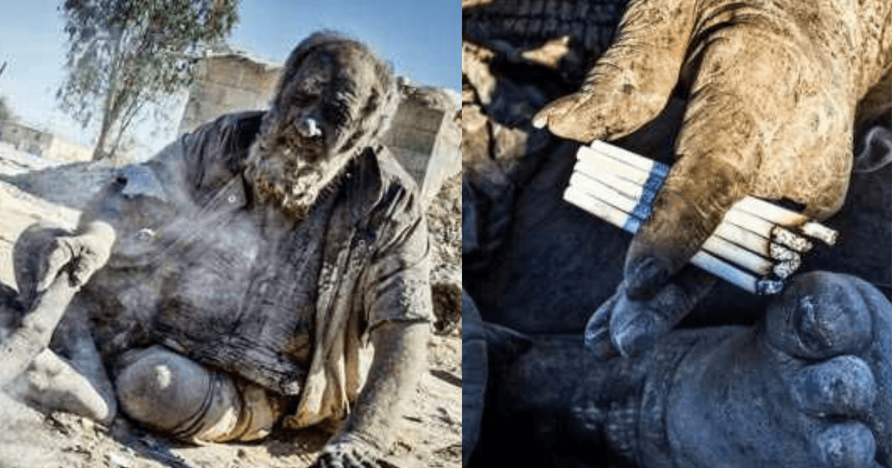 A description of the image