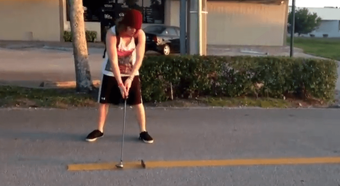 A description of the image