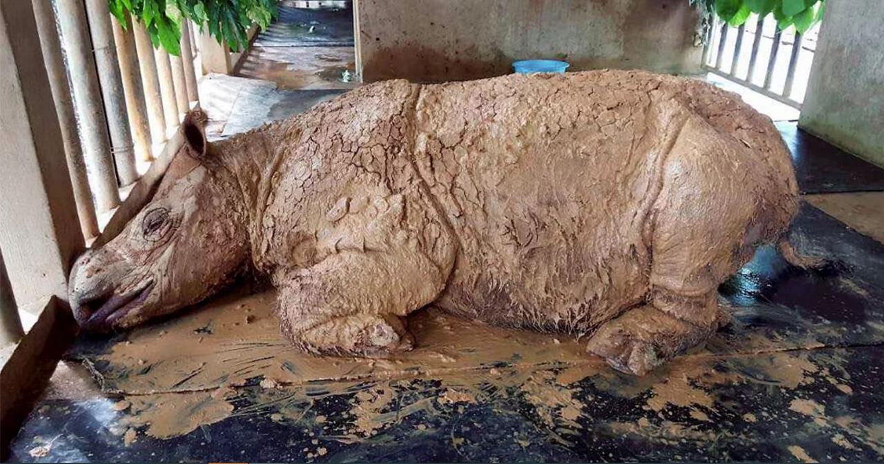 A description of the image