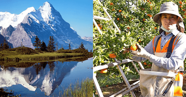 A description of the image