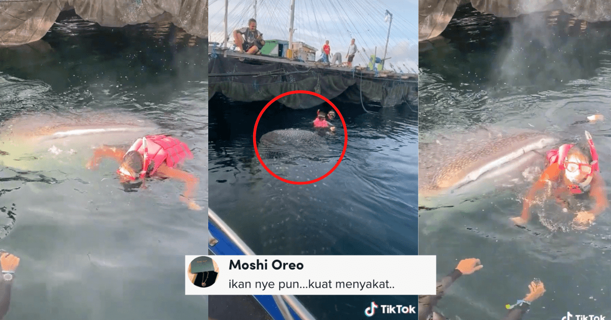 A description of the image