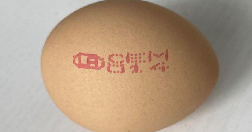 A description of the image