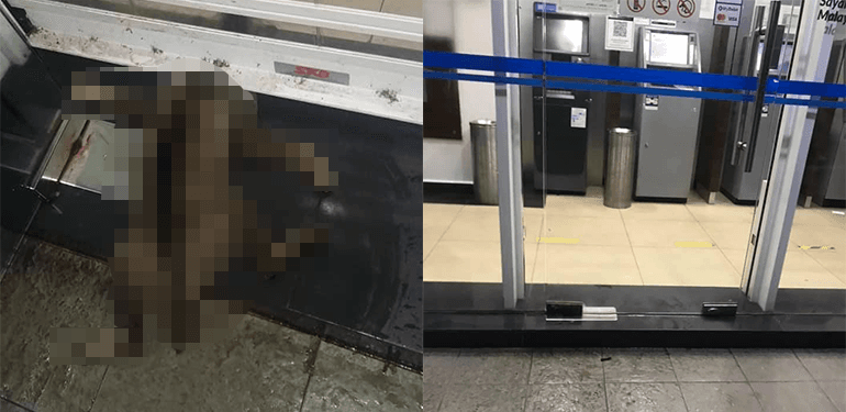 A description of the image