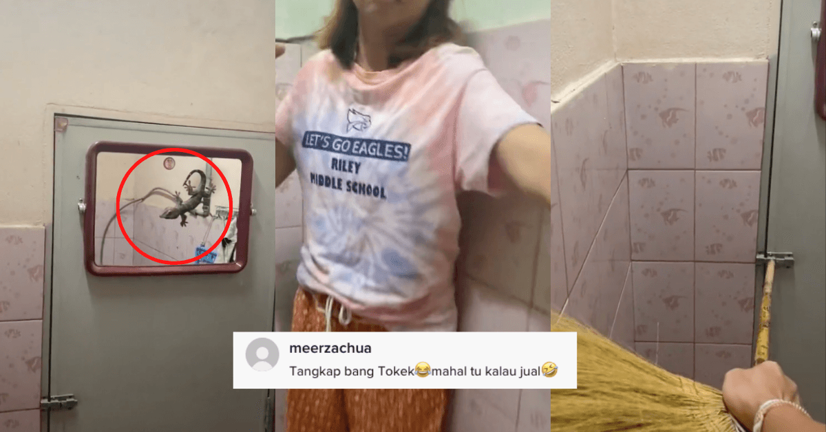 A description of the image