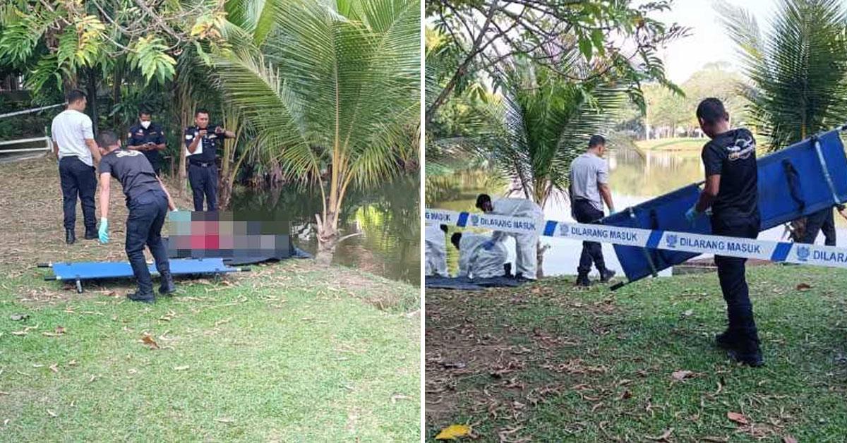 A description of the image