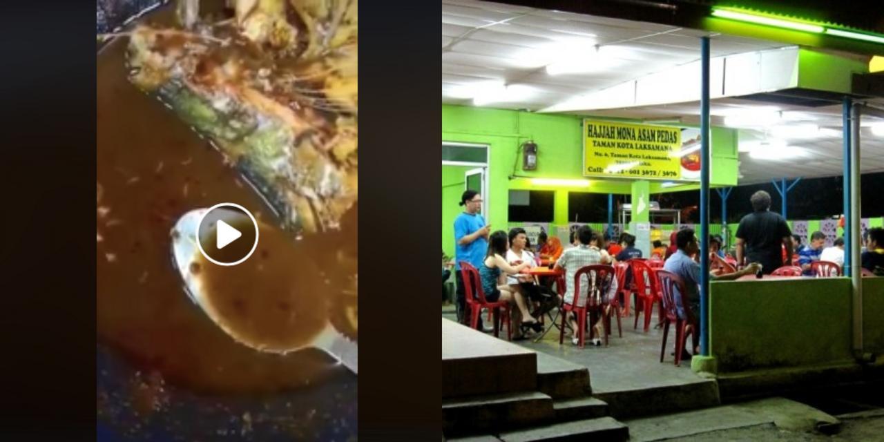 A description of the image