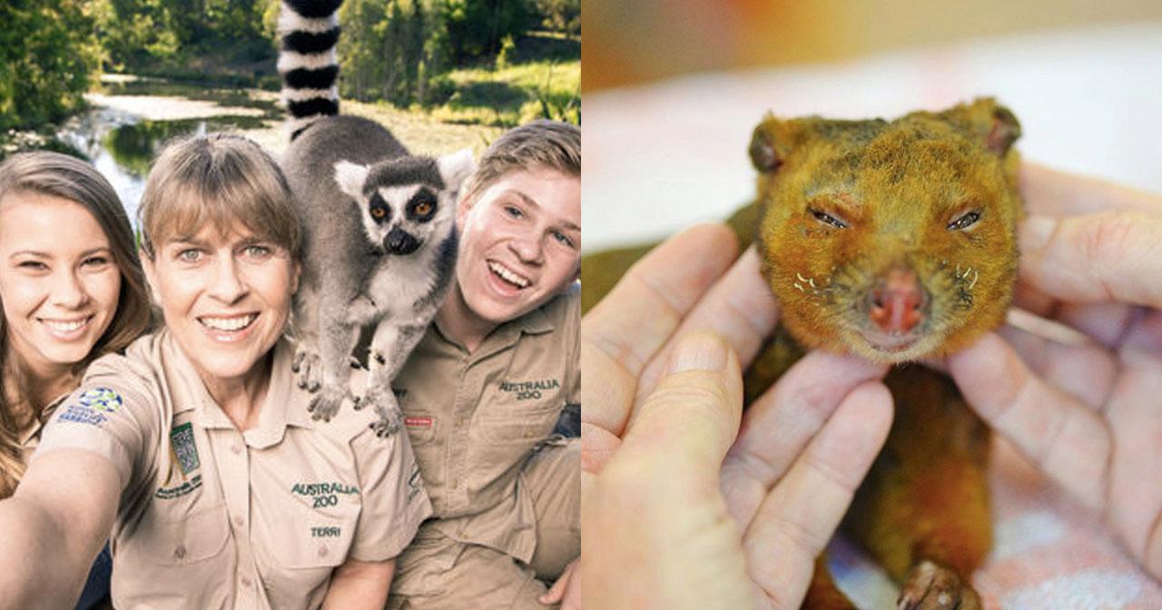 A description of the image