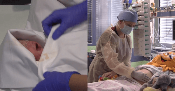 A description of the image