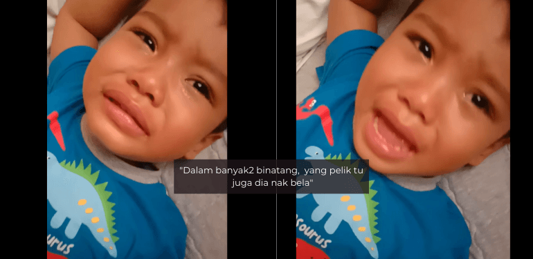 A description of the image