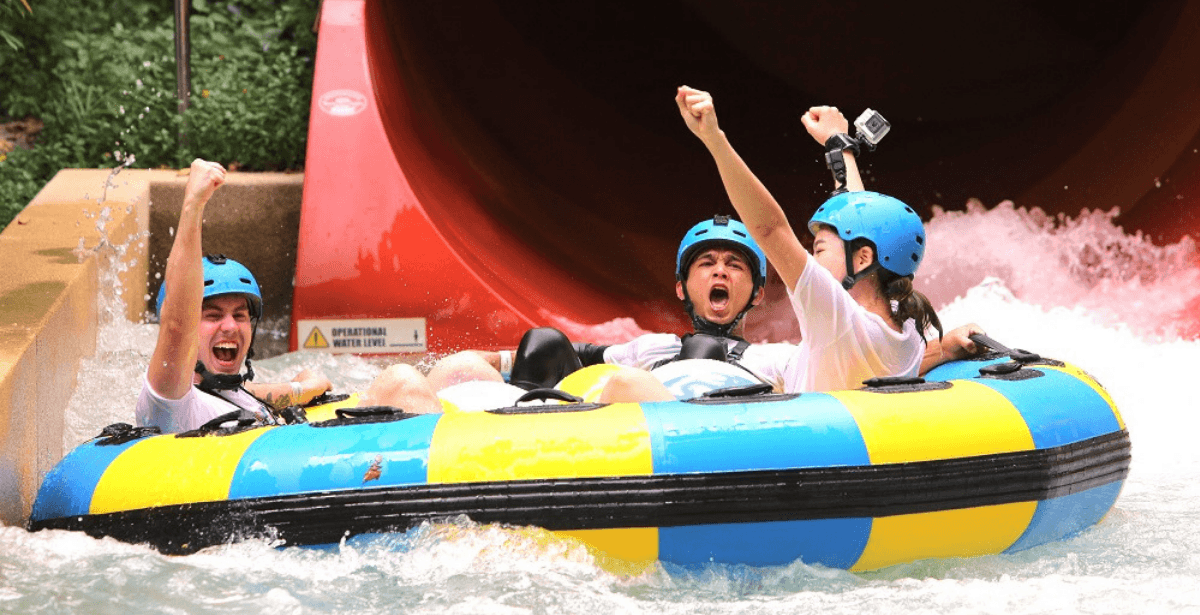 A description of the image