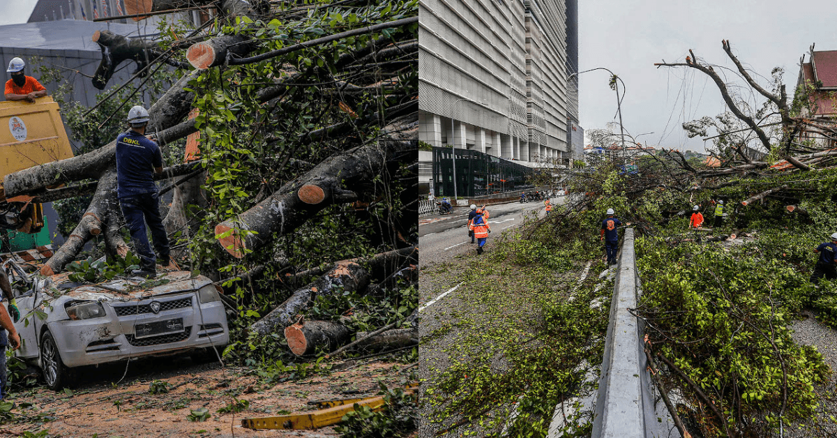 A description of the image